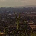 Political Campaigns in Southern Arizona: Addressing Environmental Concerns