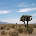 Political Landscape in Southern Arizona: A Comprehensive Guide